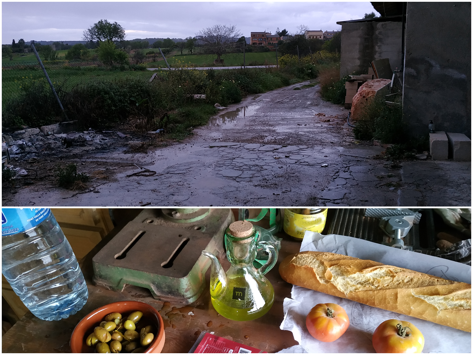 Cuadernas